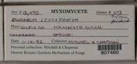 Image Associated With the Occurence